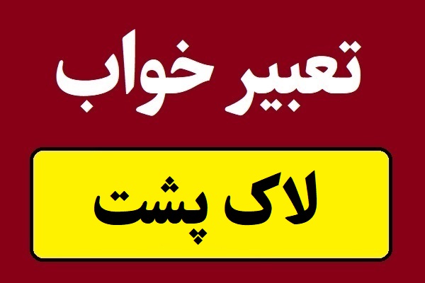 تعبیر خواب لاک پشت؛ بزرگ و کوچک