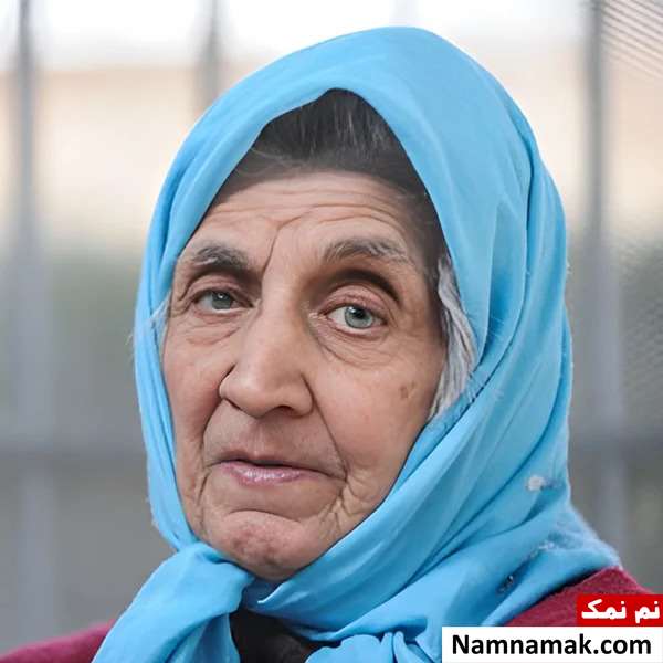 پروین میکده