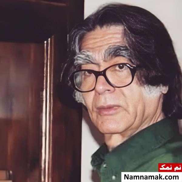 محسن میهن دوست