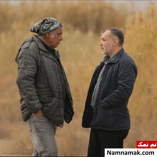 سریال دیوار دفاعی
