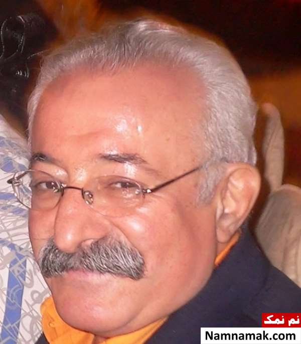 حمید عاملی