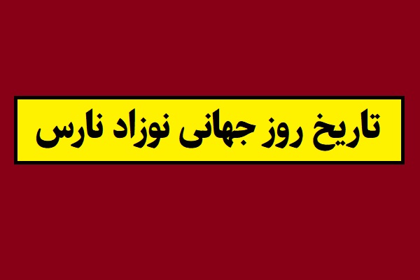 تاریخ روز جهانی نوزاد نارس 2026 سال 1405