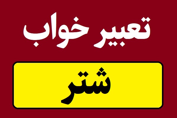 تعبیر خواب شتر و شتر سواری