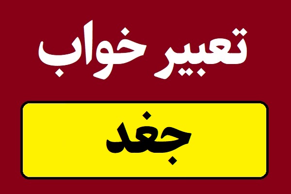 تعبیر خواب جغد با هر رنگی زنده و مرده