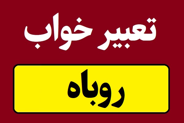 تعبیر خواب روباه برای همه و دختران مجرد