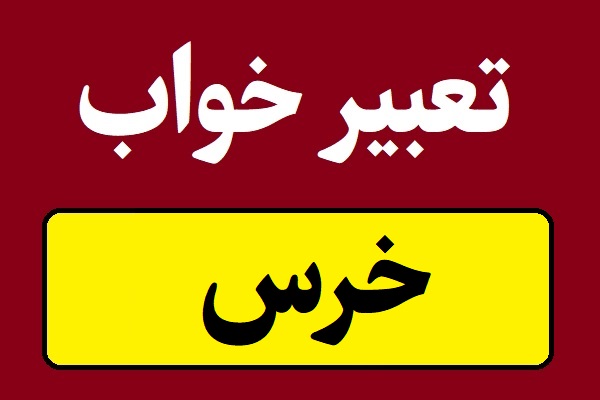 تعبیر خواب خرس سیاه و قهوه ای و سفید