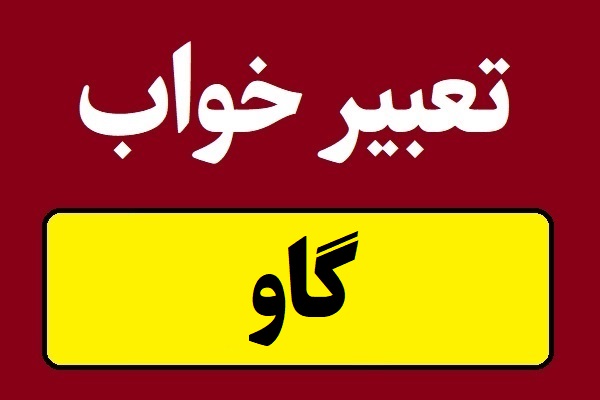 تعبیر خواب گاو؛ سیاه و سفید و رنگی