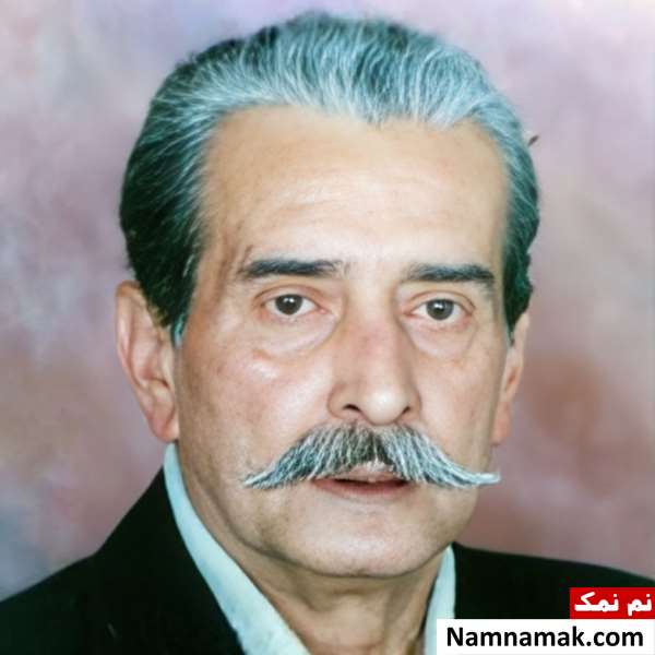 بیوگرافی منصور والامقام بازیگر و همسرش + فرزندان