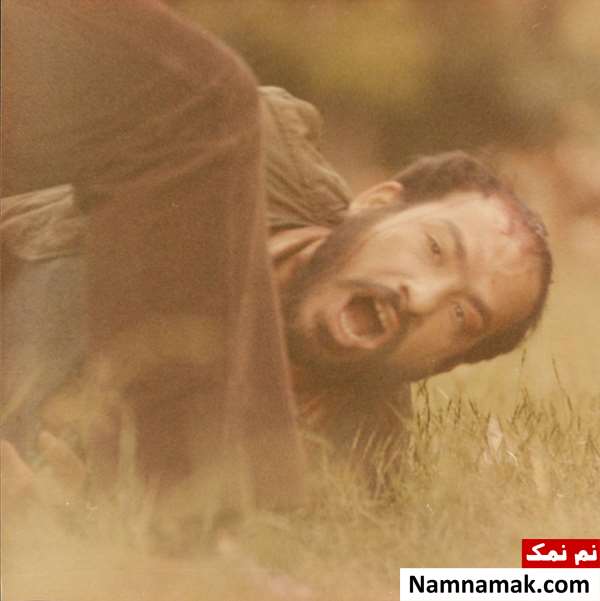فیلم خانه عنکبوت