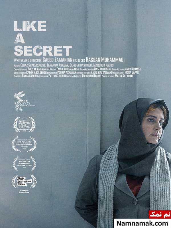 فیلم کوتاه مثل یک راز