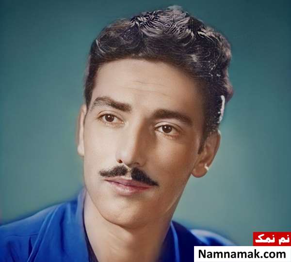 داریوش رفیعی