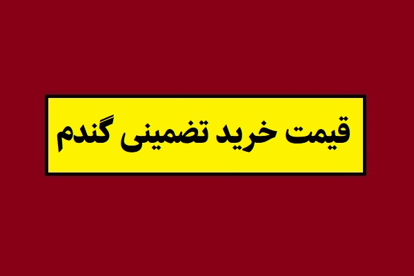 قیمت خرید تضمینی گندم سال 1405 چقدر است؟