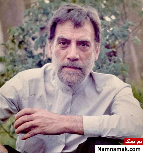 هادی اسلامی
