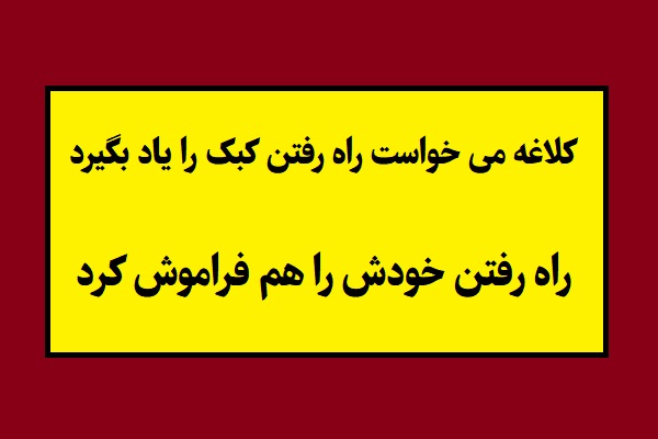 کلاغه می خواست راه رفتن کبک را یاد بگیرد راه رفتن خودش را هم فراموش کرد