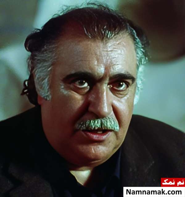 ابراهیم آبادی در فیلم ملک خاتون