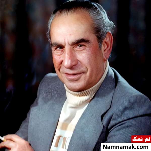 تقی ظهوری
