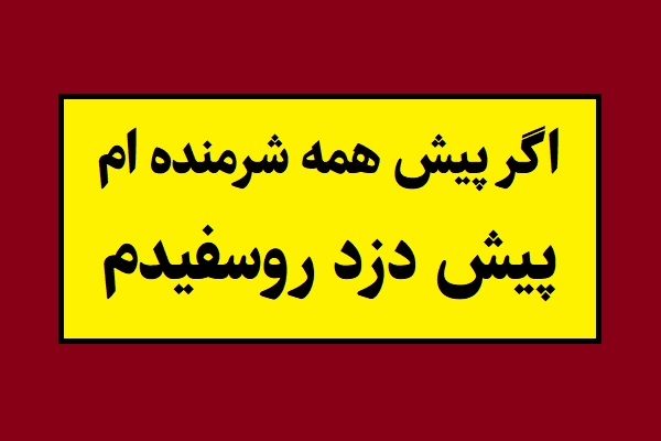 ضرب المثل اگر پیش همه شرمنده ام، پیش دزد روسفیدم