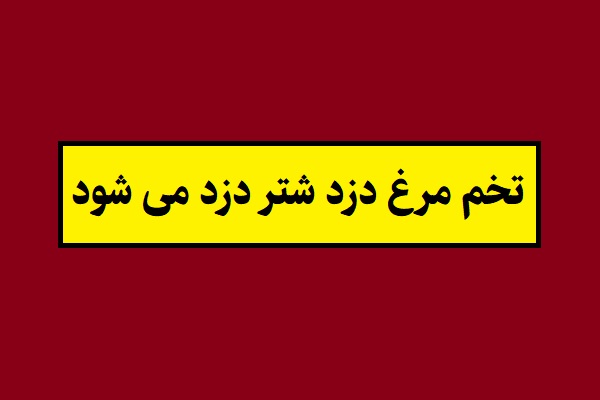 ضرب المثل تخم مرغ دزد شتر دزد می شود