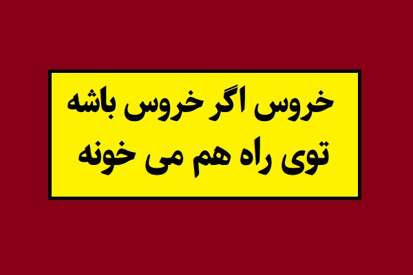 ضرب المثل خروس اگر خروس باشه توی راه هم می خونه