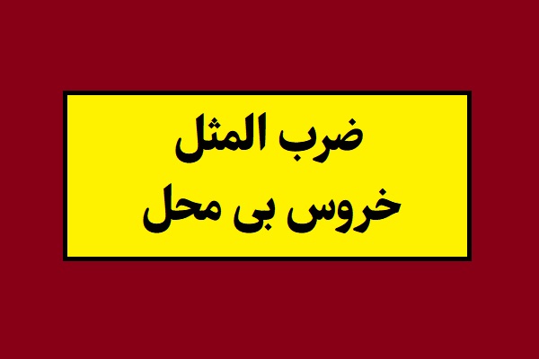 معنی ضرب المثل خروس بی محل + کاربرد