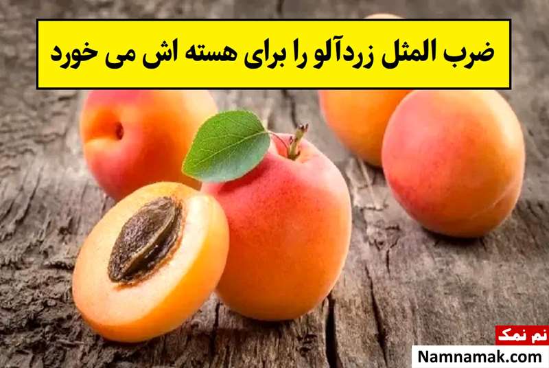ضرب المثل زردآلو را برای هسته اش می خورد