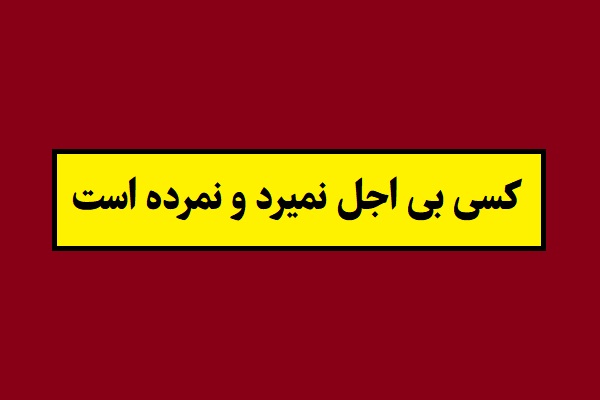 معنی ضرب المثل کسی بی اجل نمیرد و نمرده است