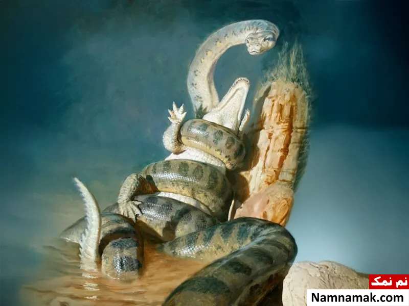 ژیگانتوفیس گارستینی