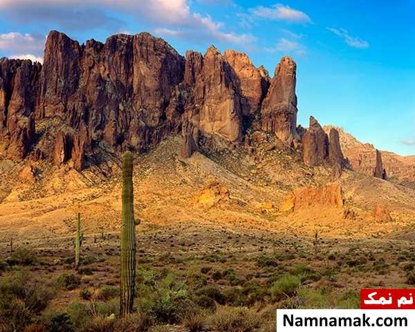 معدن گمشده هلندی از گنج های پنهان در دنیا