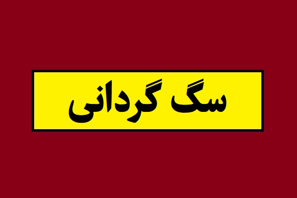 قانون جدید سگ گردانی در سال 1405
