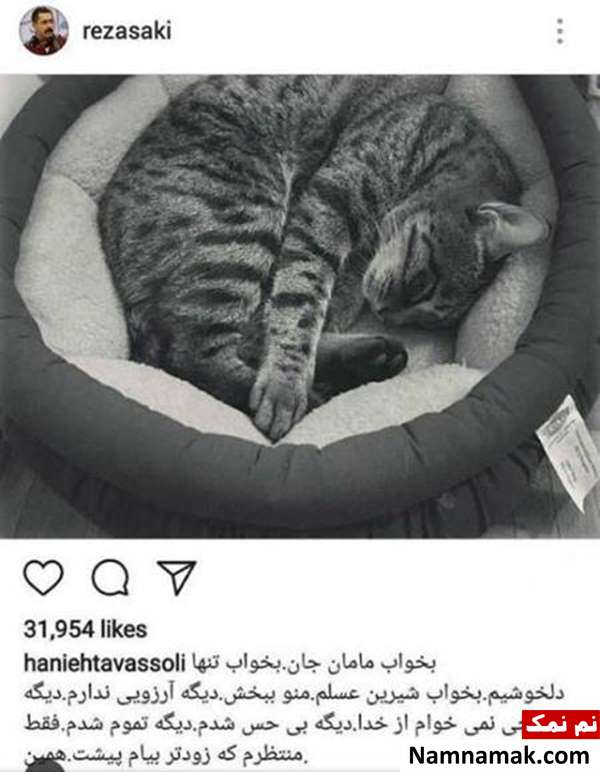 هانیه توسلی و گربه اش