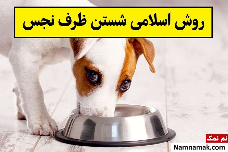 روش اسلامی شستن ظرف های نجس با آب