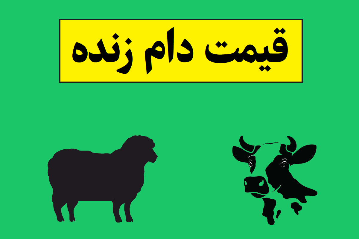 قیمت لحظه ای دام کشتار امروز [گوسفند ، گوساله ، مرغ و گاو زنده]