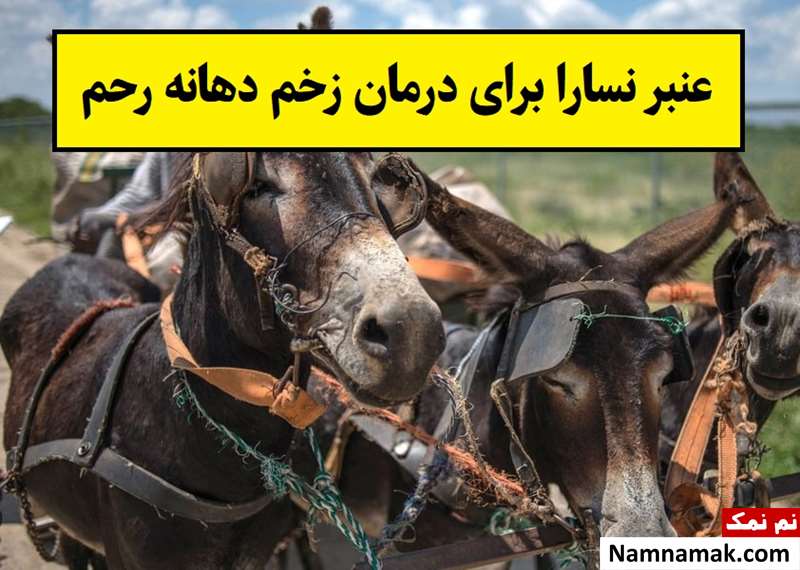 عنبر نسارا برای درمان زخم دهانه رحم خوبه؟
