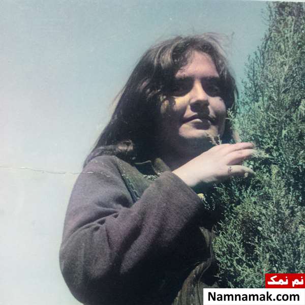 زندگینامه پروین بهمنی و همسرش عکس جوانی پروین بهمنی