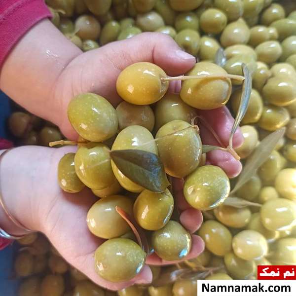 زیتون شور