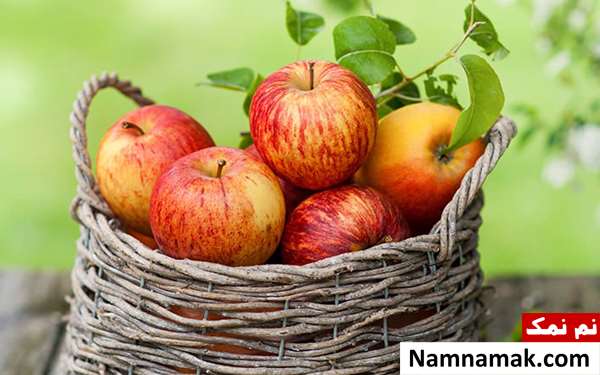 بهترین زمان خوردن سیب درختی و فواید آن بهترین زمان خوردن سیب درختی و فواید آن