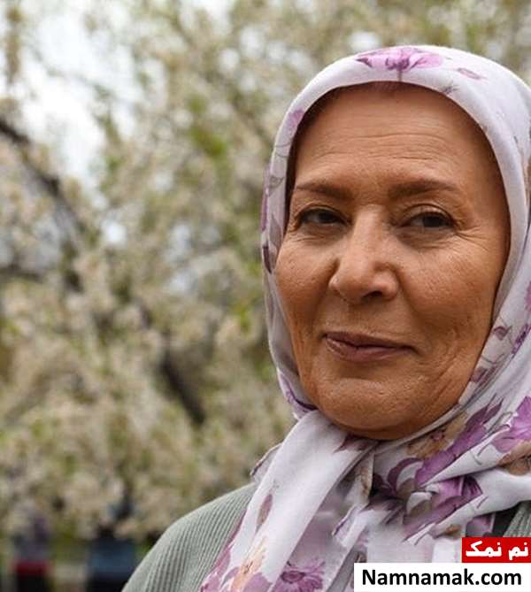 بیوگرافی صفا آقاجانی