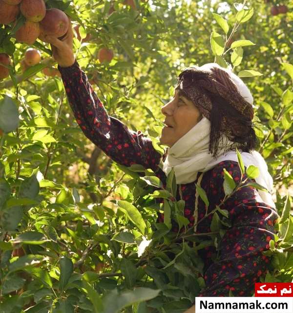 رویا افشار در سریال مادران