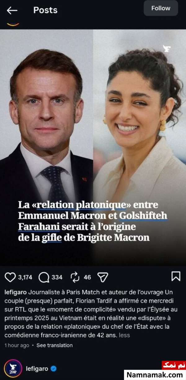 امانوئل مکرون و گلشیفته فراهانی