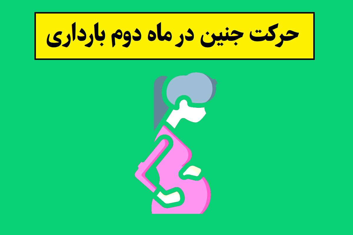 حرکت جنین در ماه دوم بارداری و حاملگی