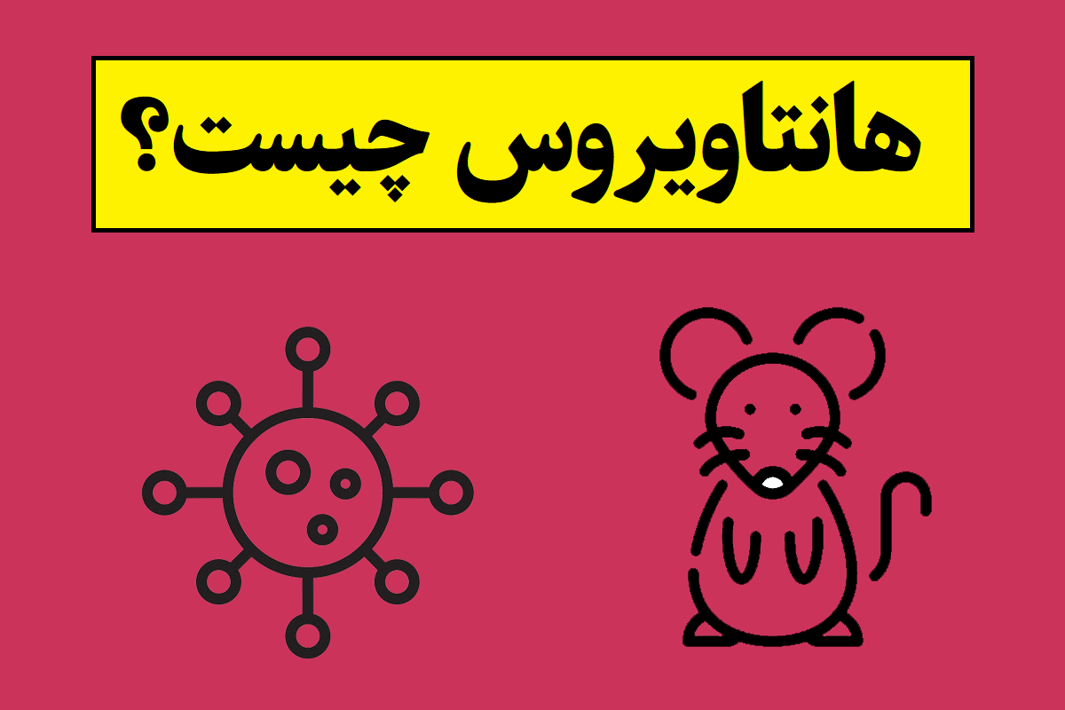 هانتاویروس چیست و آیا خطرناک است؟