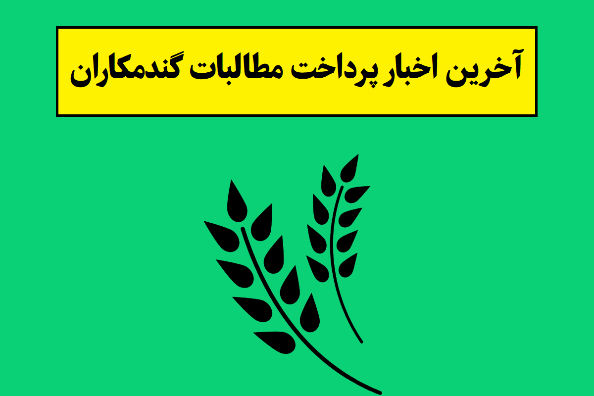آخرین اخبار پرداخت پول گندمکاران 1405