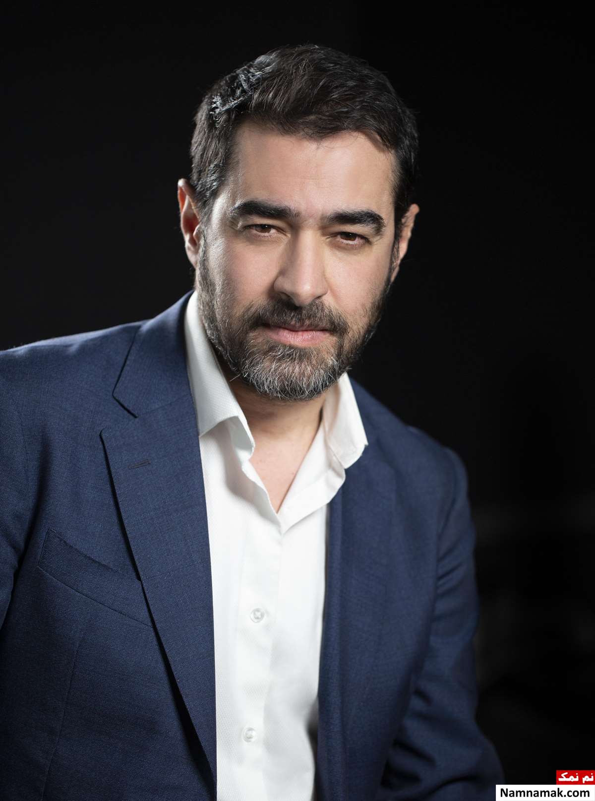شهاب حسینی