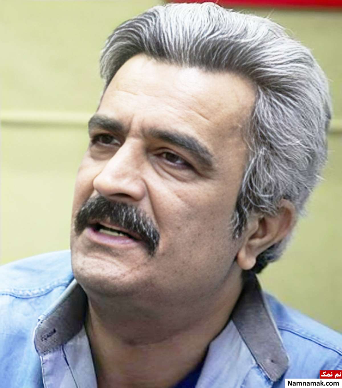 زندگینامه مهرداد ضیایی و همسرش مهرداد ضیایی - Mehrdad Ziaei