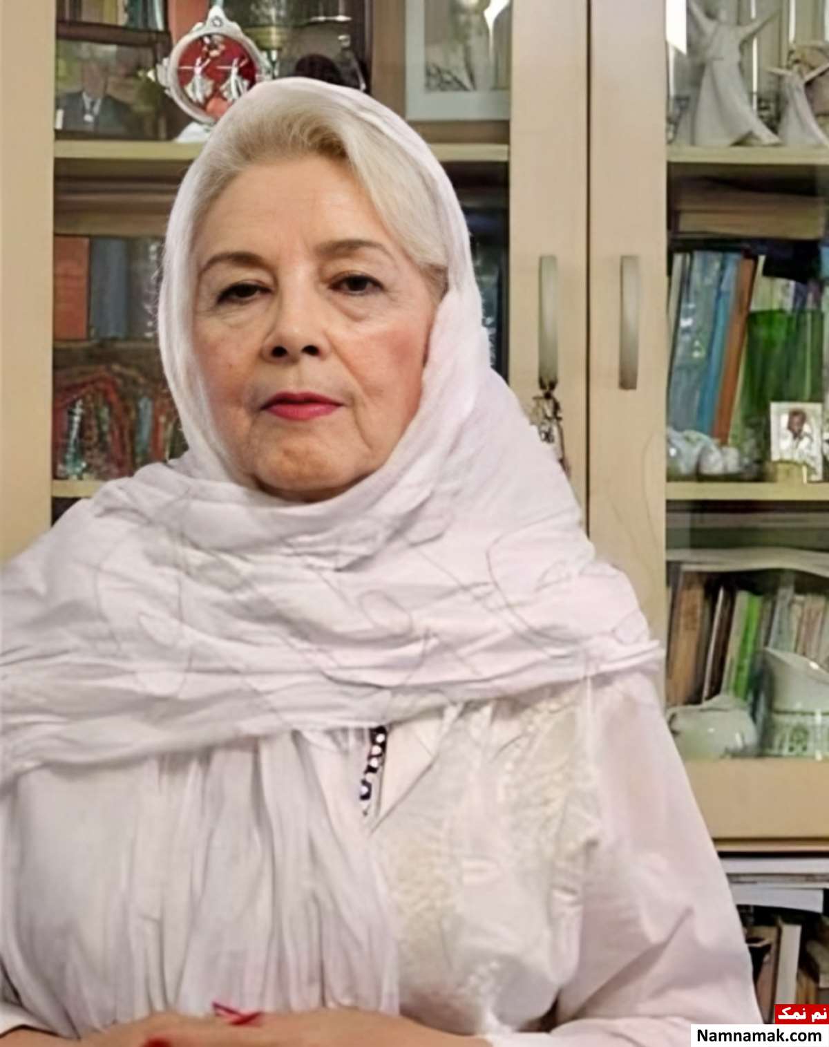 زندگینامه افسانه ملک و همسرش افسانه ملک - Afsaneh Malek