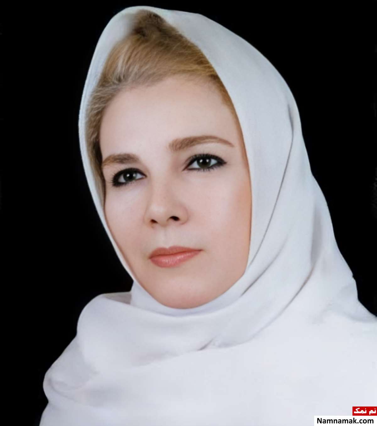 زندگینامه افسانه ملک و همسرش افسانه ملک - Afsaneh Malek