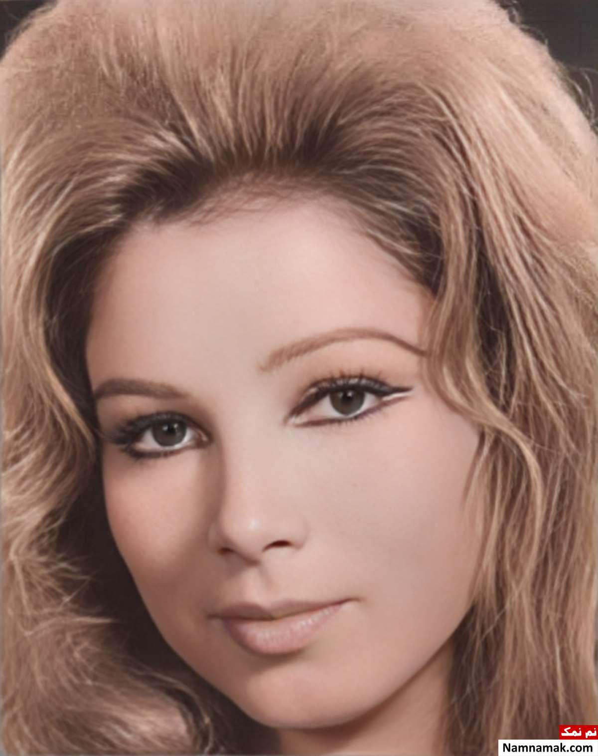 زندگینامه افسانه ملک و همسرش افسانه ملک - Afsaneh Malek