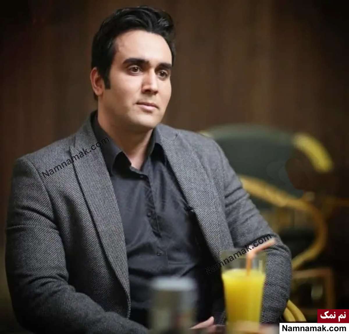 بیوگرافی بازیگران سریال نگین ارباب پوریا پورسرخ