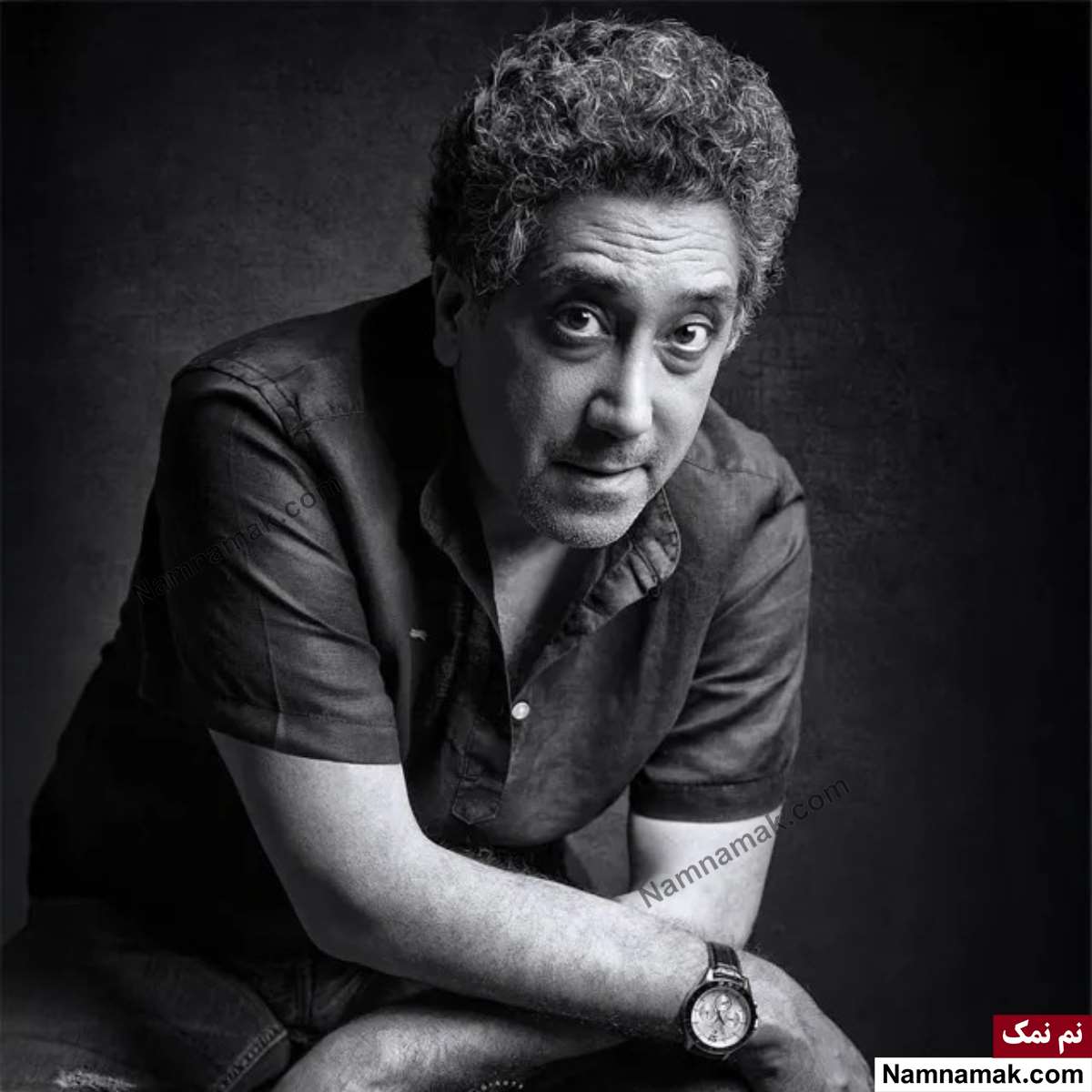 بیوگرافی بازیگران سریال نگین ارباب رامتین خداپناهی