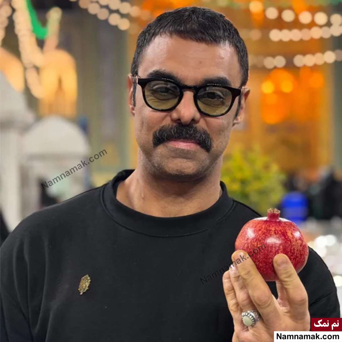 بیوگرافی بازیگران سریال نگین ارباب مهدی ماهانی